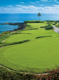 an aerial view of a golf course with the ocean in the background and palm trees to the side