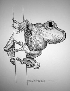 a black and white drawing of a frog holding onto a pole with its mouth open