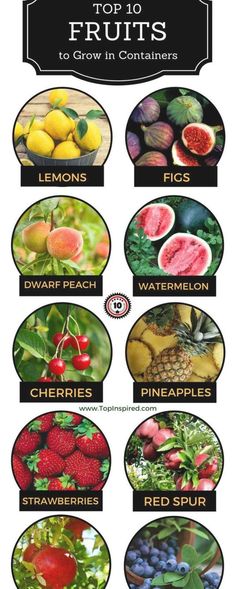 the top 10 fruits to grow in containers are shown with their names and pictures on them