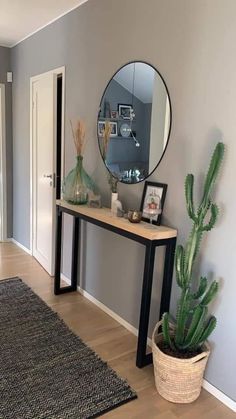 a living room with a mirror, potted cactus and a rug on the floor