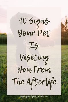 a person kneeling down in the grass with text overlay saying 10 signs your pet is visiting you from the afterlife