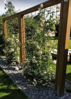 a garden with white flowers growing on the side of it and a wooden trellis