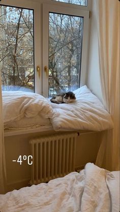 a cat laying on top of a bed next to a window