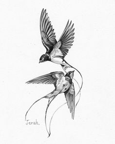 two birds flying next to each other on a white background with the words, jersah