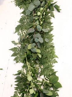 a long green plant with lots of leaves hanging from it's sides on a white wall