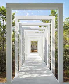 an empty white walkway in the middle of trees