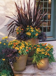 several potted plants sitting on top of each other in front of a door way