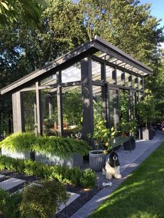 a dog sitting in front of a glass house with plants growing out of it's sides