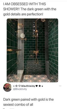 a green tiled shower with gold fixtures and black tiles on the walls is featured in an instagram