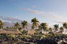 an island with palm trees and thatched roof houses on the water's edge