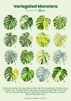 a poster with different types of tropical plants