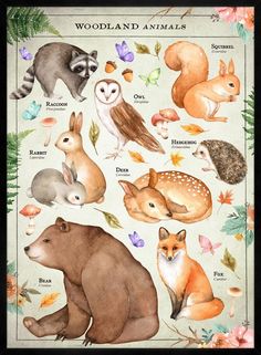 the woodland animals are depicted in this poster