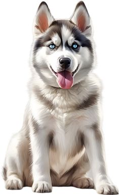 a husky dog with blue eyes and tongue hanging out to the side, sitting down