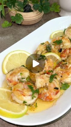 a white plate topped with shrimp and lemon slices