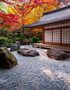 a japanese garden with rocks and trees in the background at autumn time, including red leaves