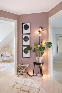 a living room with pink walls and pictures on the wall, plants in vases