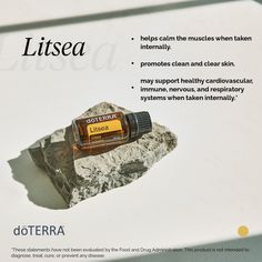 Litsea is an exclusive oil that's only available in November. This unique essential oil—also known as "mountain pepper"—is the perfect sidekick to your citrus oils. Supplement Routine, Diy Essentials, November 1st