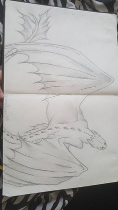 a drawing of a dragon with wings on it's back