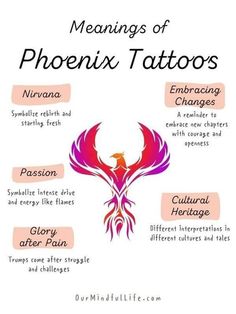 the meanings of phoenix tattoo symbols and their meanings, including an image of a