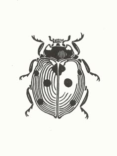 a black and white drawing of a beetle