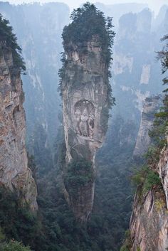 the mountains are surrounded by trees and fog