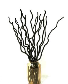 there is a vase with branches in it