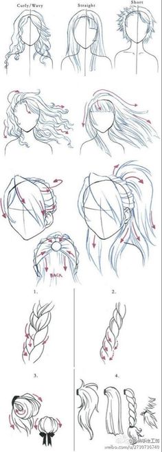 how to draw anime hair step by step for beginners, with pictures and instructions