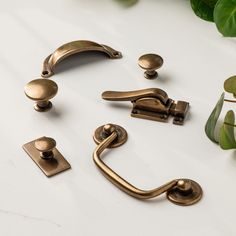 several brass handles and pulls on a white surface with some green plants in the background