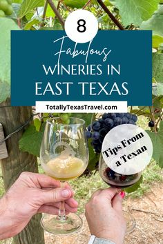 two people toasting wine glasses in front of some grape vines with the words, 7 fabulous wines in east texas