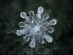 a snowflake is shown in the dark