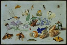 a painting with many different types of insects