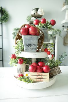 an apple tree with apples in a bucket and books on the bottom, sitting on a table