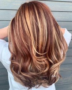 Auburn Brown Hair Highlights, Chestnut And Blonde Hair, Light Red And Blonde Hair, Blonde Highlights Red Lowlights, Dark Blonde And Red Hair, Dark Brown And Auburn Hair, Dark Blonde With Red Highlights, Auburn Hair Color With Blonde Highlights, Blonde Red Highlights