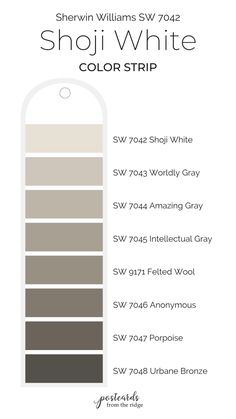 the color scheme for sheryl williams's white and gray paint colorstripp