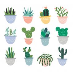 potted plants with different shapes and colors on white background, set of cactuses in pots