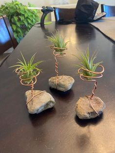 four air plants are sitting on top of some rocks with wire wrapped around them and tied together