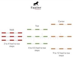 the diagram shows how to use an equine toothbrush