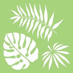 a green background with white silhouettes of tropical leaves on the left and right side