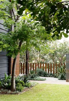 an outdoor garden with trees and plants next to a fence