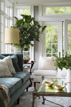 a living room filled with furniture and a large potted plant on top of a coffee table