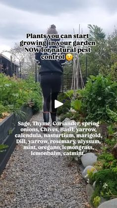 a woman walking down a gravel path next to lots of plants and flowers on either side of her