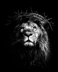 a black and white photo of a lion wearing a crown of thorns on its head