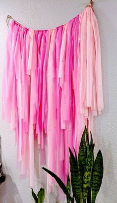 pink tissue hanging on the wall next to a potted plant