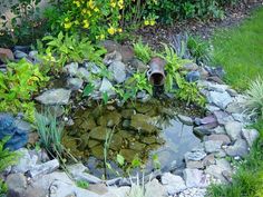 a garden pond surrounded by rocks and plants in the middle of a yard with yellow flowers