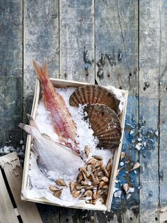 an open box with fish and shells in it on top of snow covered ground next to wooden planks