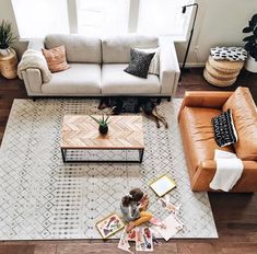 a living room with two couches, a coffee table and a dog laying on the floor