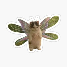 a cat sitting on top of a green and white butterfly shaped sticker with wings