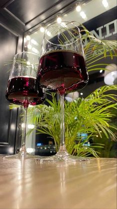 two glasses of red wine sitting on top of a wooden table next to a potted plant