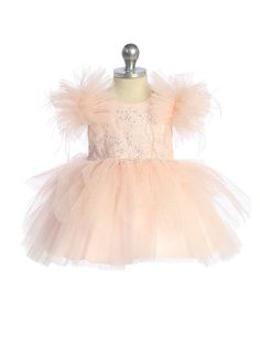 Make your little one feel like a princess in our Marianna Baby Girl Glitter Tulle Party Pageant Dress! This stunning dress features a sparkling glitter bodice with delicate lace applique, fluffy sleeves with feathers for an extra touch of elegance, and a concealed zipper in the back for easy dressing. Perfect for special occasions, photoshoots, or just adding a touch of glamour to your little one's wardrobe. Get ready to turn heads and create memories that last a lifetime with this beautiful dre Embellished Tulle Pageant Dress For Dress-up, Elegant Festive Dress With Glitter Tulle, Festive Princess Dress In Glitter Tulle, Princess Style Festive Glitter Tulle Dress, Festive Princess Glitter Tulle Dress, Embellished Glitter Tulle Princess Dress, Princess Embellished Tutu Dress For Party, Princess Style Embellished Tutu Dress For Party, Embellished Tulle Princess Dress For Dress-up