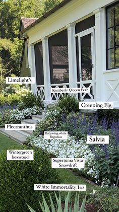 the names of different types of plants in front of a house